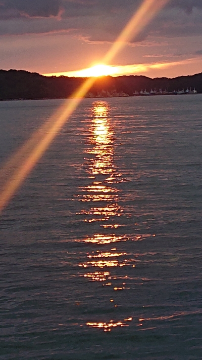 久しぶりの雨上がり