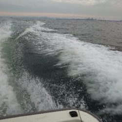 明石沖落とし込み