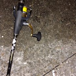 アジュール舞子の大サバ求めて