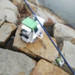 室津のキス釣り