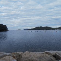 室津のキス釣り