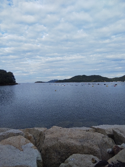 室津のキス釣り