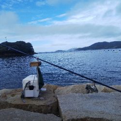 室津のキス釣り