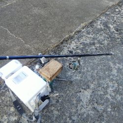 苅屋のキス釣り