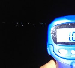 久しぶりに、行ってきました。