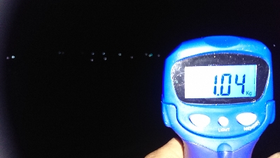 久しぶりに、行ってきました。