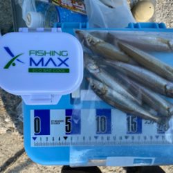 キス釣り、ちょい投げ