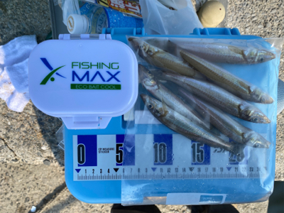 キス釣り、ちょい投げ