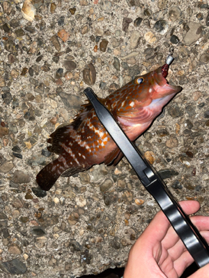 ライトロックゲーム