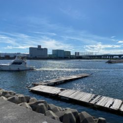 ちょい投げ、キス釣り