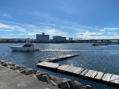ちょい投げ、キス釣り