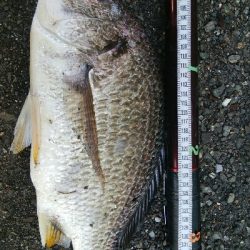 『釣りデビュー(^^)』216