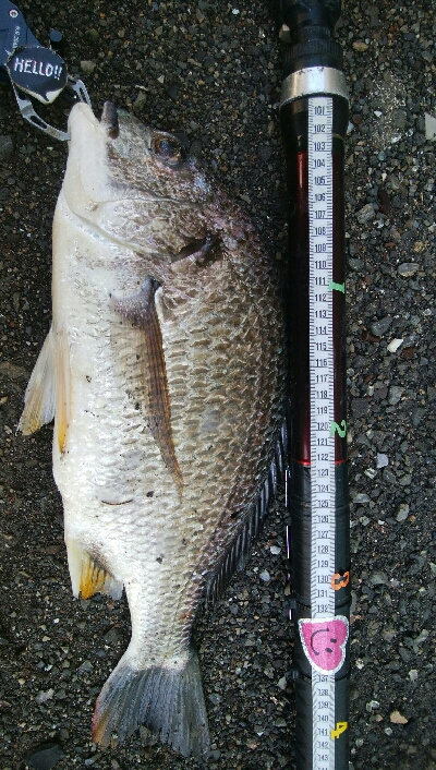 『釣りデビュー(^^)』216