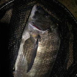 連休雨なら降る前に釣りへ