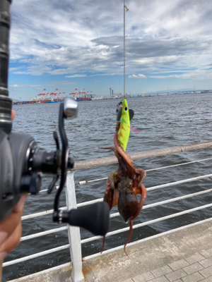 強風＆潮流に泣かされ何とか3杯。。。