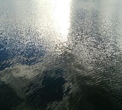 『釣りデビュー☆』218