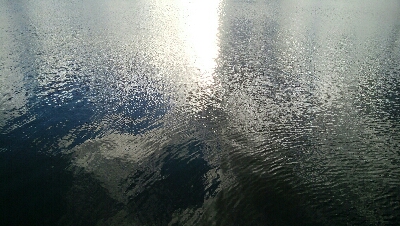 『釣りデビュー☆』218