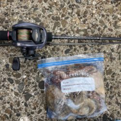 ⭐︎リリースサイズ