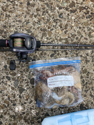 ⭐︎リリースサイズ