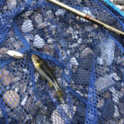 釣りキャン&ネイティブトラウト