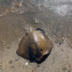 えいがんちょう