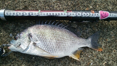 『釣りデビュー(^o^』220