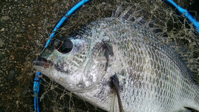 『釣りデビュー♬♬♬』221