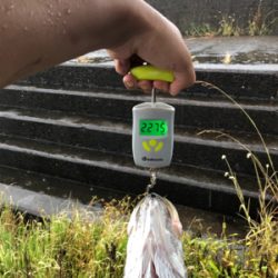 セットアッパーすごい!