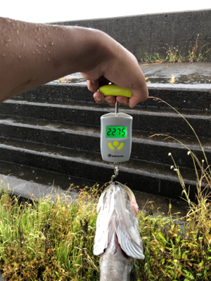 セットアッパーすごい!