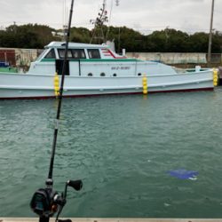 和歌山イカメタル