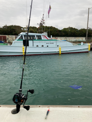 和歌山イカメタル