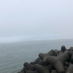 朝活！ライトショア！！