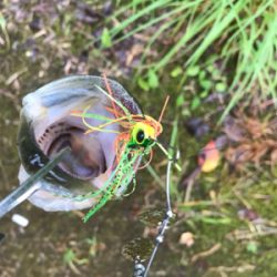 雨できつかった