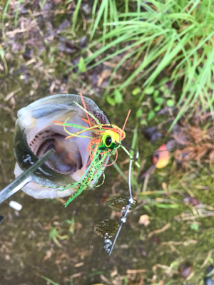 雨できつかった