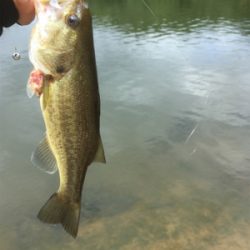 真昼間の布目ダム