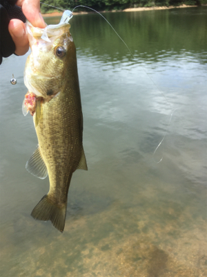 真昼間の布目ダム