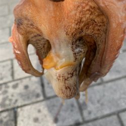 やっと、晴れ間が!