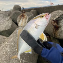 ライトショアジギング