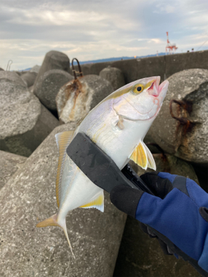 ライトショアジギング