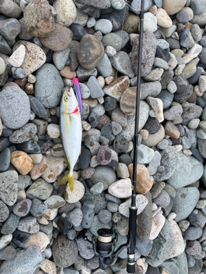 糸魚川　サーフ　