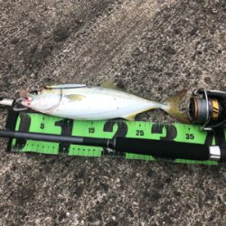 ショアジギング