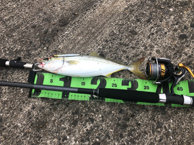 ショアジギング