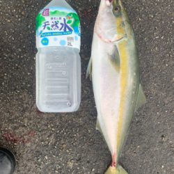 タチウオが釣りたくて❗️