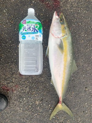 タチウオが釣りたくて❗&#x…