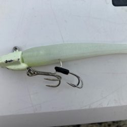 久々のタチウオ、、