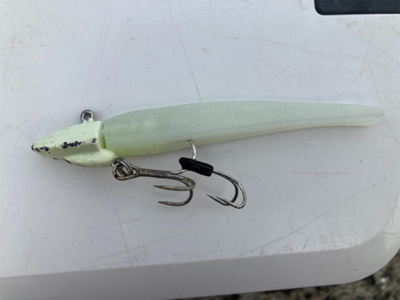 久々のタチウオ、、