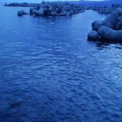 キジハタ4匹、ソイ1匹！