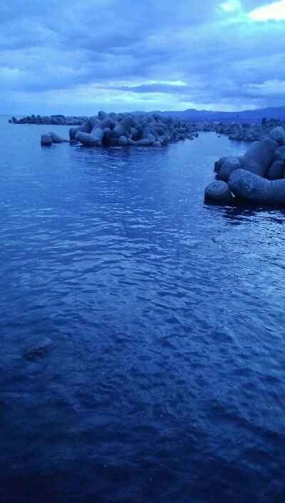 キジハタ4匹、ソイ1匹！