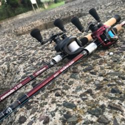 ジョイクロ１７８で釣れた