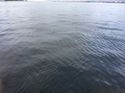 ノマセをしたら‥